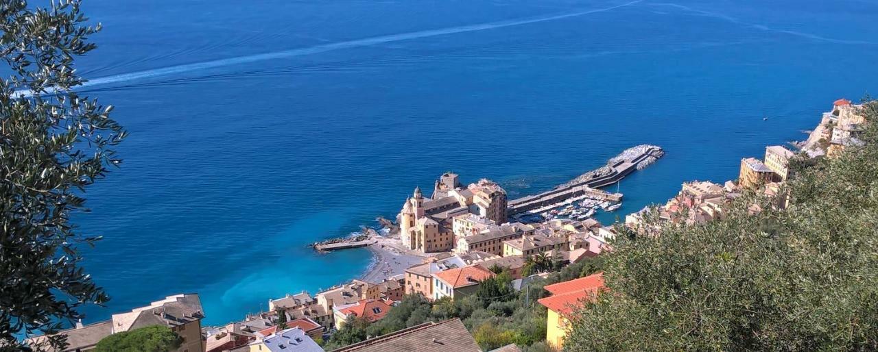 Camogli Golfo Paradiso La Casa Del Comandante المظهر الخارجي الصورة